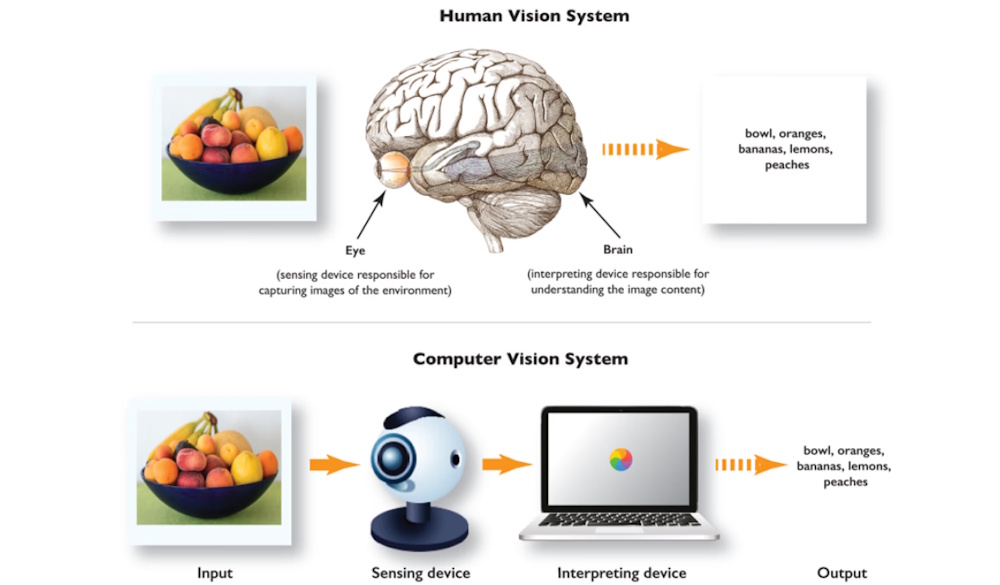 computer vision system